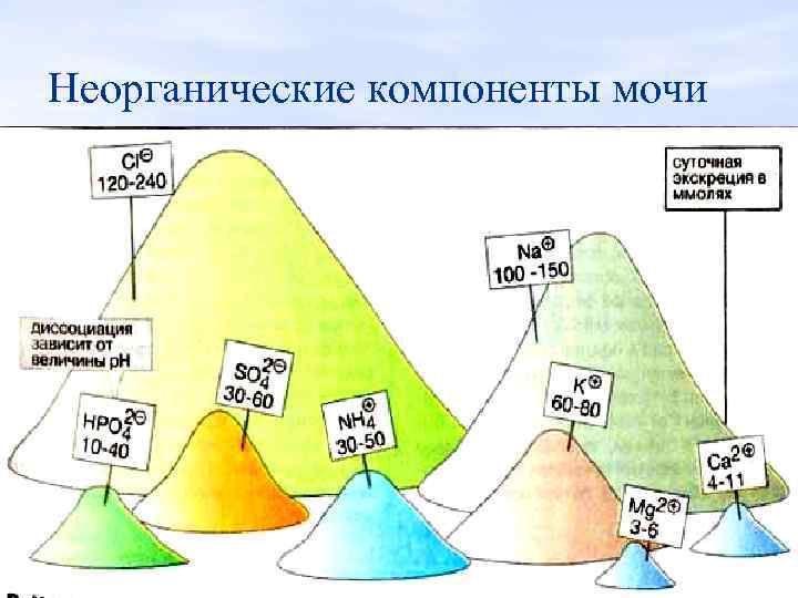 Неорганические компоненты мочи 