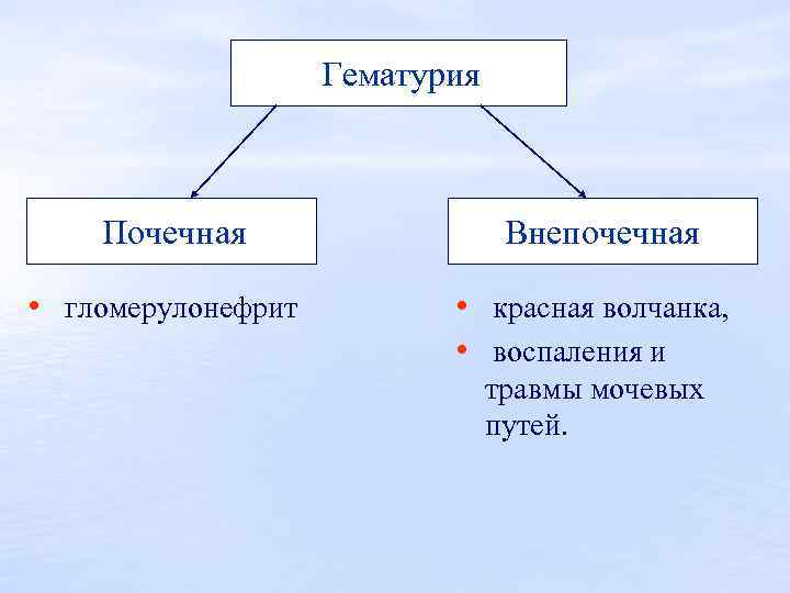 Гематурия это. Ренальная гематурия. Почечная и внепочечная гематурия. Гематурия виды причины. Виды гематурии.