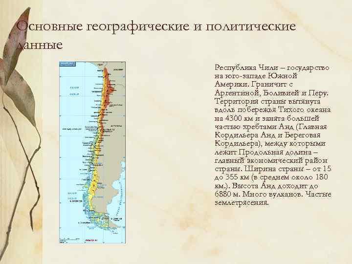 Вывод о развитии страны Чили. Чили Страна на карте. Продольная Долина на карте Южной Америки. Растения страны Чили названия.