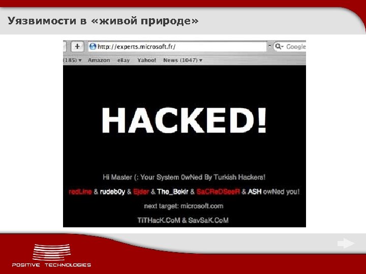 Уязвимости в «живой природе» 