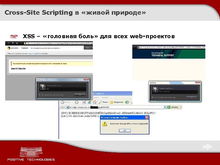 Cross-Site Scripting в «живой природе» XSS – «головная боль» для всех web-проектов 