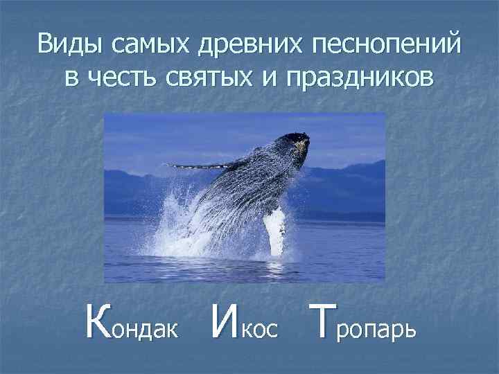 Виды самых древних песнопений в честь святых и праздников Кондак Икос Тропарь 