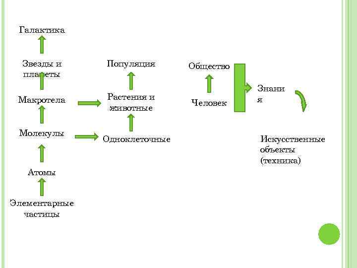 Галактика Звезды и планеты Макротела Молекулы Атомы Элементарные частицы Популяция Растения и животные Одноклеточные