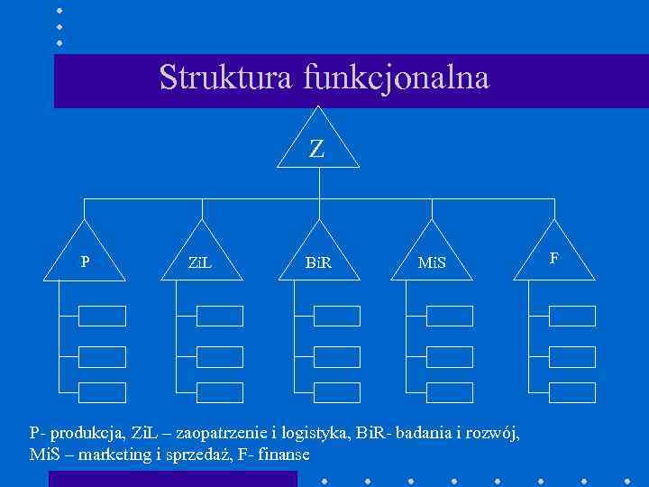 Struktura funkcjonalna Z P Zi. L Bi. R Mi. S P- produkcja, Zi. L