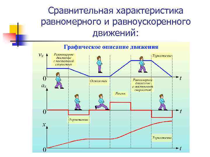 Сравнительная характеристика равномерного и равноускоренного движений: 