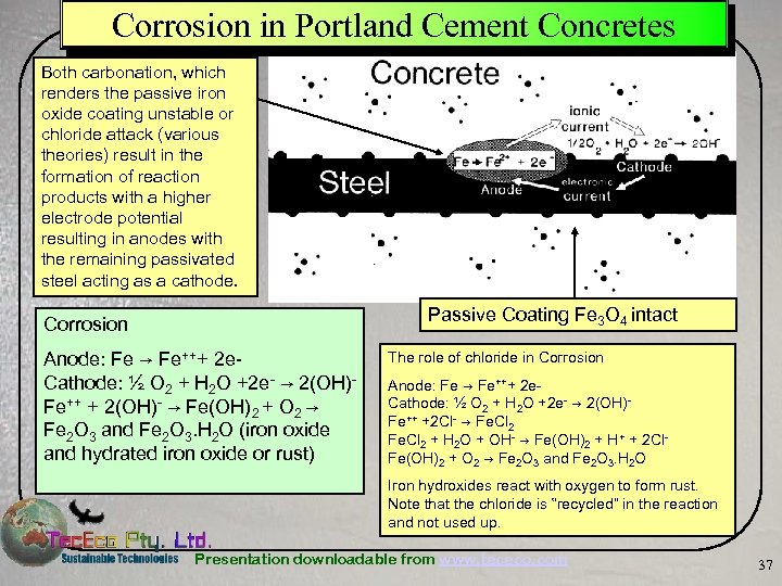 Corrosion in Portland Cement Concretes Both carbonation, which renders the passive iron oxide coating