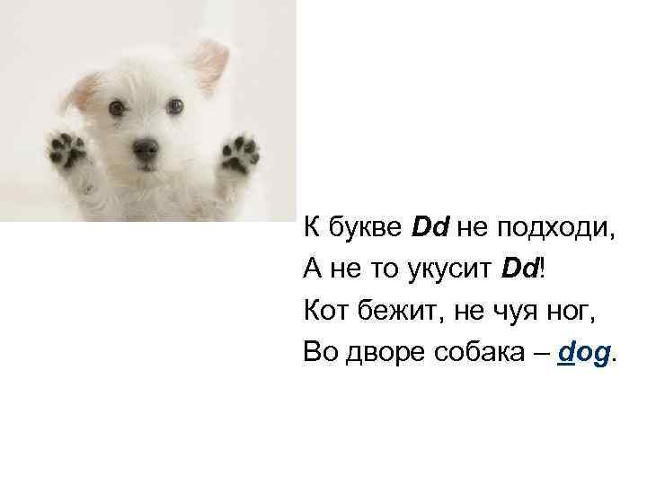 К букве Dd не подходи, А не то укусит Dd! Кот бежит, не чуя