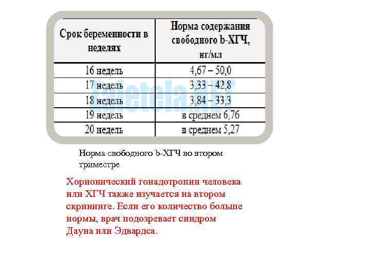 Норма свободного b-ХГЧ во втором триместре Хорионический гонадотропин человека или ХГЧ также изучается на