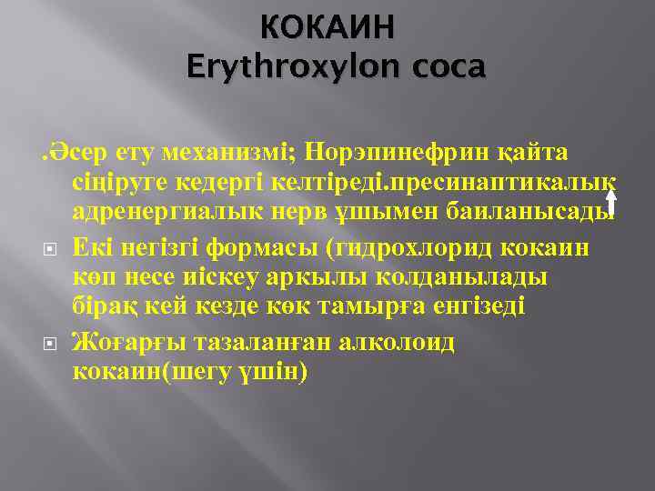 КОКАИН Erythroxylon coca. Әсер ету механизмі; Норэпинефрин қайта сіңіруге кедергі келтіреді. пресинаптикалык адренергиалык нерв