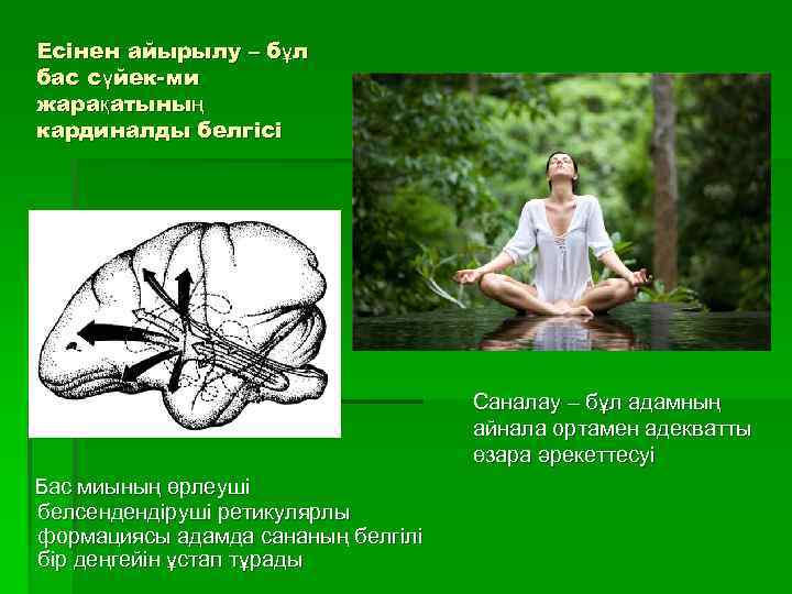 Есінен айырылу – бұл бас сүйек-ми жарақатының кардиналды белгісі Саналау – бұл адамның айнала
