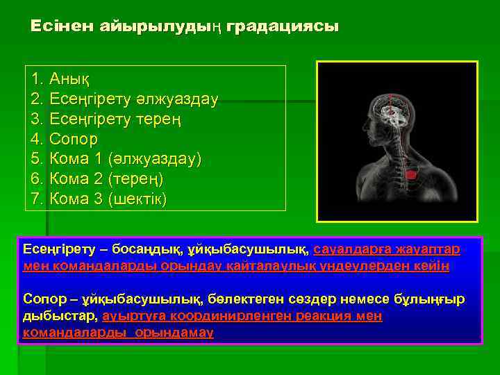 Есінен айырылудың градациясы 1. Анық 2. Есеңгірету әлжуаздау 3. Есеңгірету терең 4. Сопор 5.