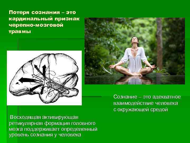 Потеря сознания – это кардинальный признак черепно-мозговой травмы Сознание – это адекватное взаимодействие человека