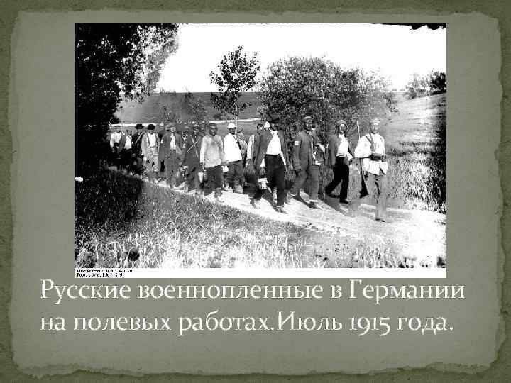 Русские военнопленные в Германии на полевых работах. Июль 1915 года. 