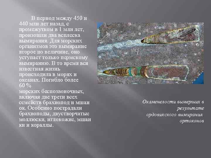  В период между 450 и 440 млн лет назад, с промежутком в 1