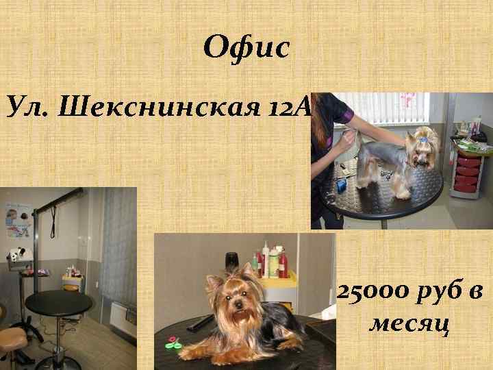 Офис Ул. Шекснинская 12 А 25000 руб в месяц 