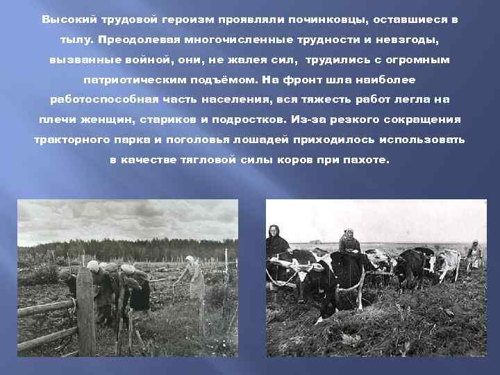Высокий трудовой героизм проявляли починковцы, оставшиеся в тылу. Преодолевая многочисленные трудности и невзгоды, вызванные