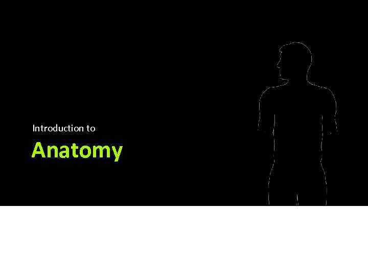 Introduction to Anatomy 