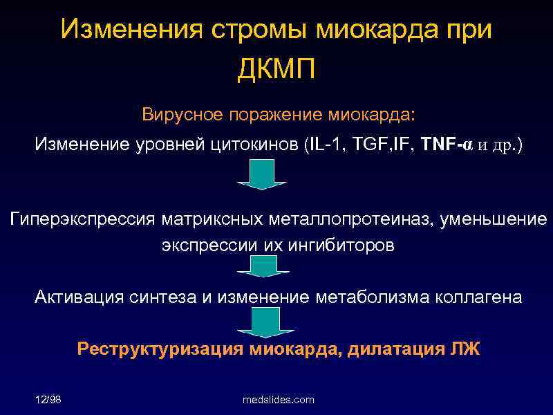 Изменения стромы миокарда при ДКМП Вирусное поражение миокарда: Изменение уровней цитокинов (IL-1, TGF, IF,