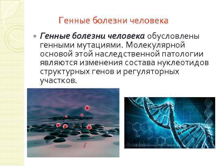 Генные болезни человека обусловлены генными мутациями. Молекулярной основой этой наследственной патологии являются изменения состава