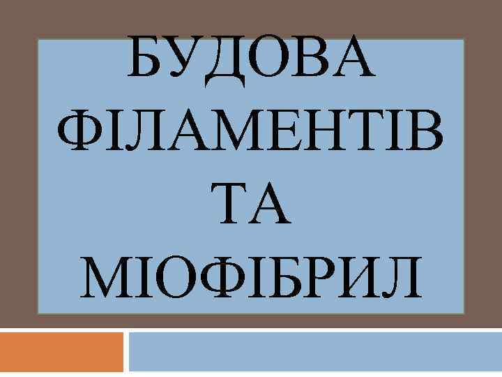 БУДОВА ФІЛАМЕНТІВ ТА МІОФІБРИЛ 