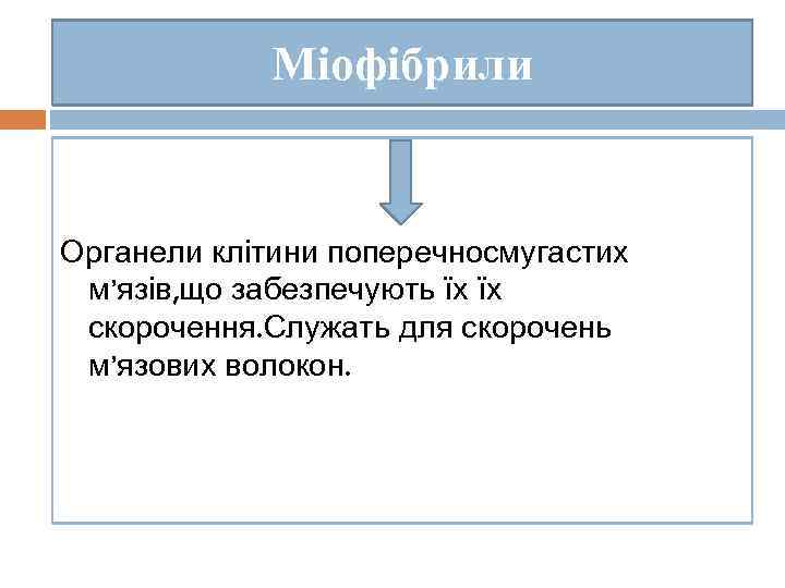 Міофібрили Органели клітини поперечносмугастих м’язів, що забезпечують їх їх скорочення. Служать для скорочень м’язових