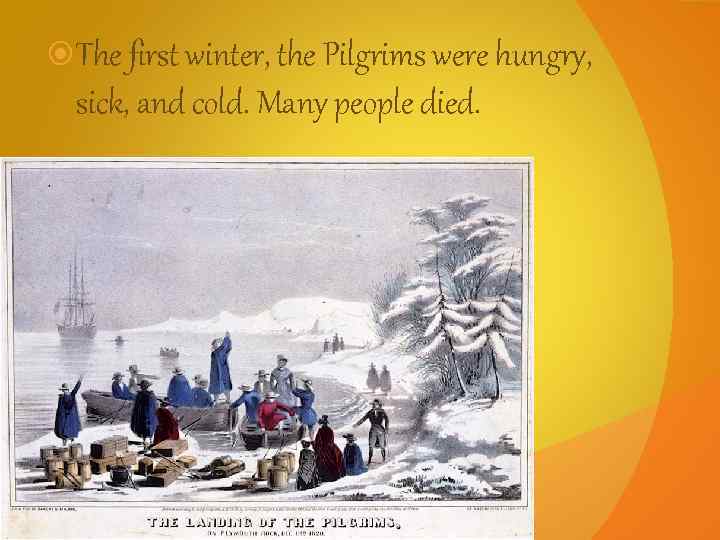  The first winter, the Pilgrims were hungry, sick, and cold. Many people died.