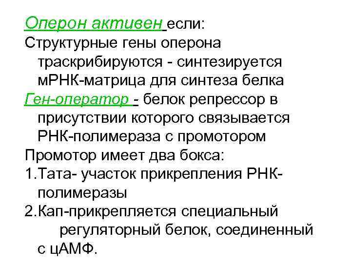 Оперон активен если: Структурные гены оперона траскрибируются - синтезируется м. РНК-матрица для синтеза белка