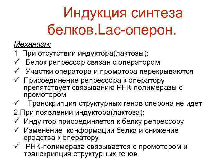 Индукция синтеза белков. Lac-оперон. Механизм: 1. При отсутствии индуктора(лактозы): ü Белок репрессор связан с