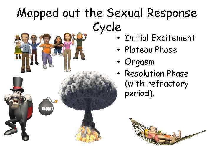 Mapped out the Sexual Response Cycle • • Initial Excitement Plateau Phase Orgasm Resolution
