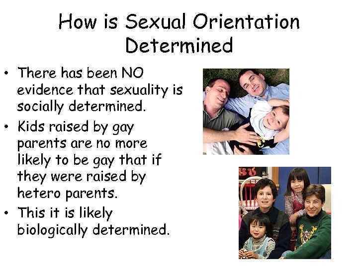 How is Sexual Orientation Determined • There has been NO evidence that sexuality is