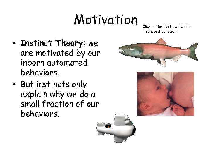 Motivation • Instinct Theory: we are motivated by our inborn automated behaviors. • But