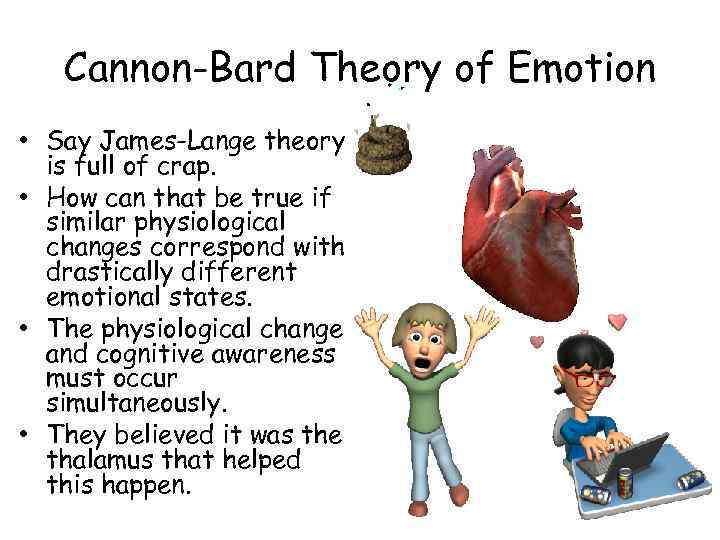 Cannon-Bard Theory of Emotion • Say James-Lange theory is full of crap. • How