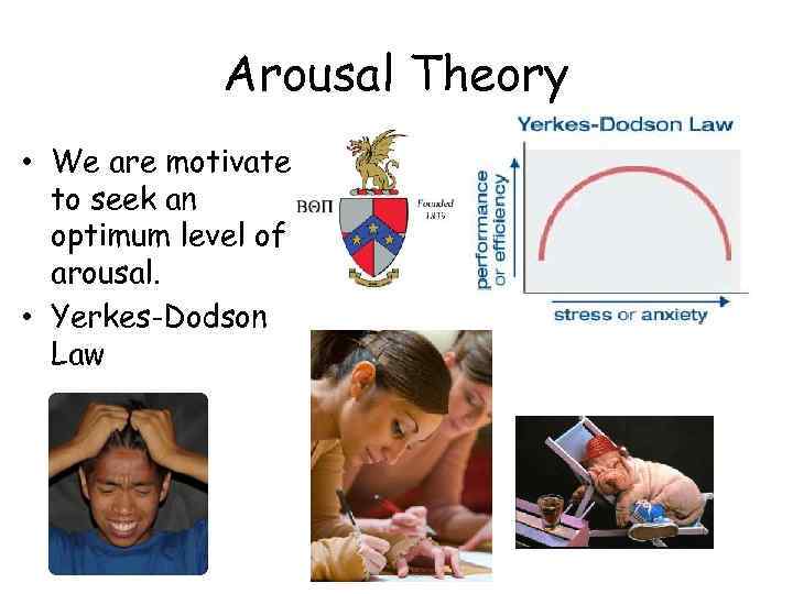 Arousal Theory • We are motivated to seek an optimum level of arousal. •