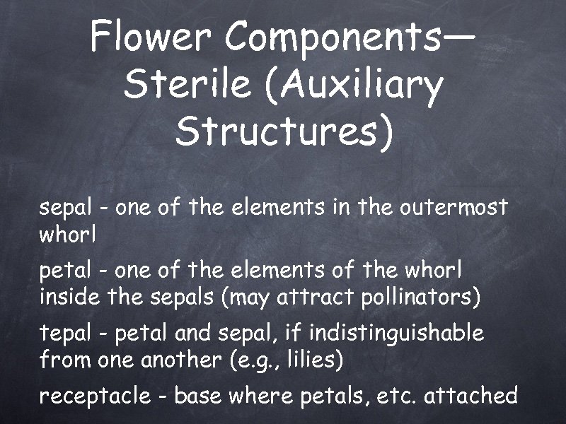 Flower Components— Sterile (Auxiliary Structures) sepal - one of the elements in the outermost