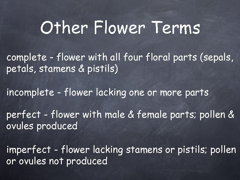 Other Flower Terms complete - flower with all four floral parts (sepals, petals, stamens