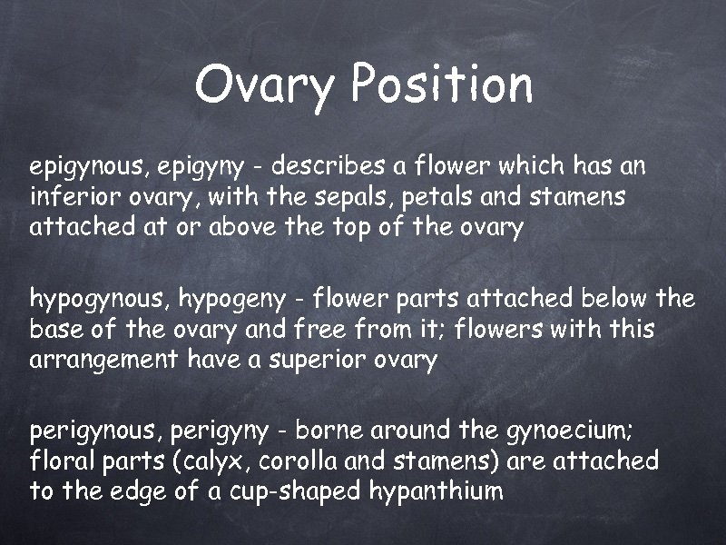 Ovary Position epigynous, epigyny - describes a flower which has an inferior ovary, with