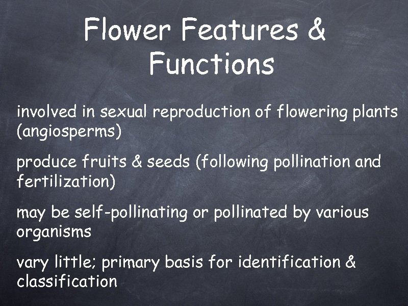 Flower Features & Functions involved in sexual reproduction of flowering plants (angiosperms) produce fruits