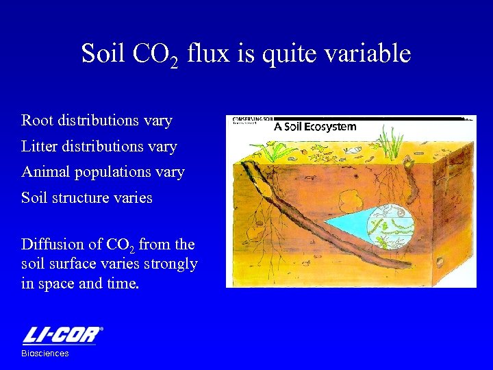 Soil CO 2 flux is quite variable Root distributions vary Litter distributions vary Animal