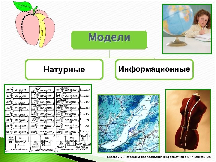 Модели Натурные Информационные Босова Л. Л. Методика преподавания информатики в 5 -7 классах 36