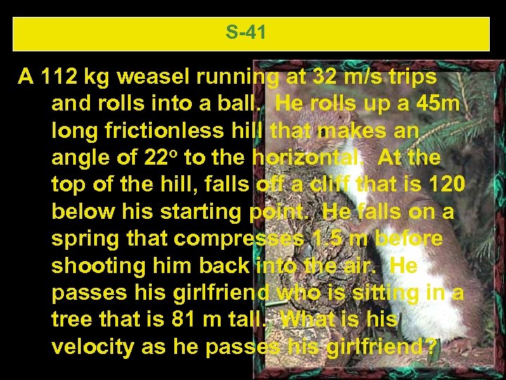 S-41 A 112 kg weasel running at 32 m/s trips and rolls into a