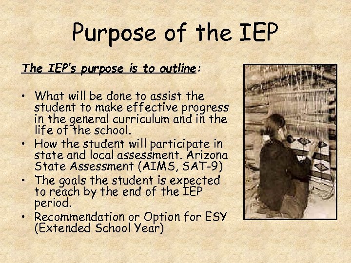 Purpose of the IEP The IEP’s purpose is to outline: • What will be