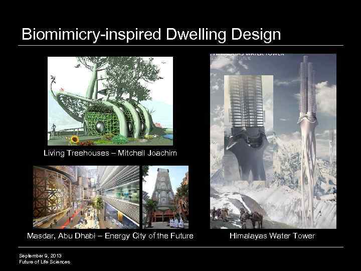 Biomimicry-inspired Dwelling Design Living Treehouses – Mitchell Joachim Masdar, Abu Dhabi – Energy City