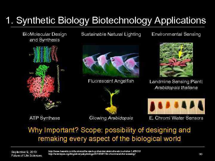 1. Synthetic Biology Biotechnology Applications Bio. Molecular Design and Synthesis Environmental Sensing Fluorescent Angelfish