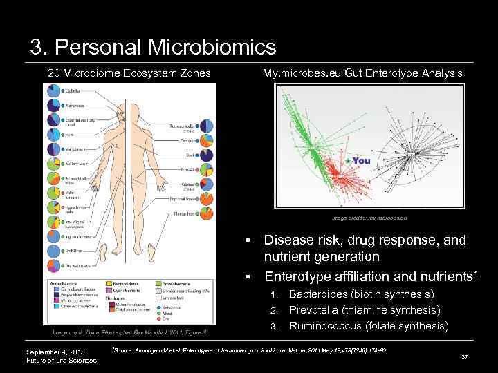 3. Personal Microbiomics 20 Microbiome Ecosystem Zones My. microbes. eu Gut Enterotype Analysis Image