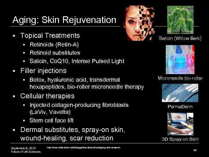 Aging: Skin Rejuvenation § Topical Treatments Salicin (Willow Bark) Retinoids (Retin-A) § Retinoid substitutes