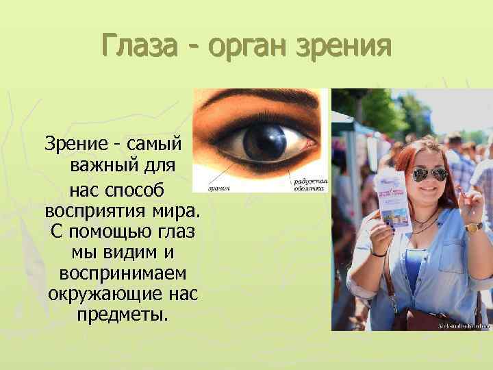 Глаза - орган зрения Зрение - самый важный для нас способ восприятия мира. С