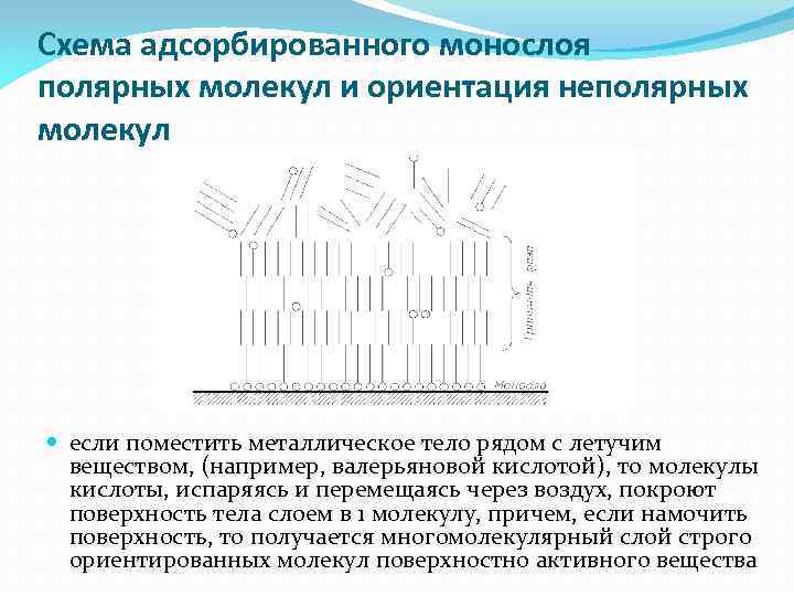 Схема адсорбированного монослоя полярных молекул и ориентация неполярных молекул если поместить металлическое тело рядом