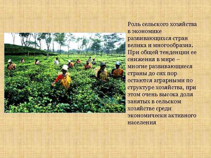 Роль сельского хозяйства в экономике развивающихся стран велика и многообразна. При общей тенденции ее
