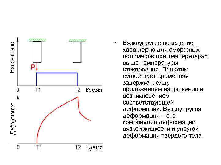  • Вязкоупругое поведение характерно для аморфных полимеров при температурах выше температуры стеклования. При