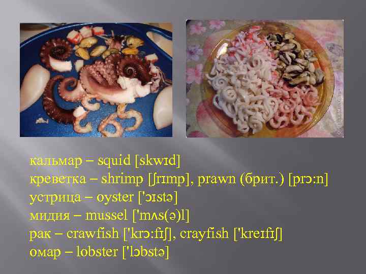 кальмар – squid [skwɪd] креветка – shrimp [ʃrɪmp], prawn (брит. ) [prɔ: n] устрица